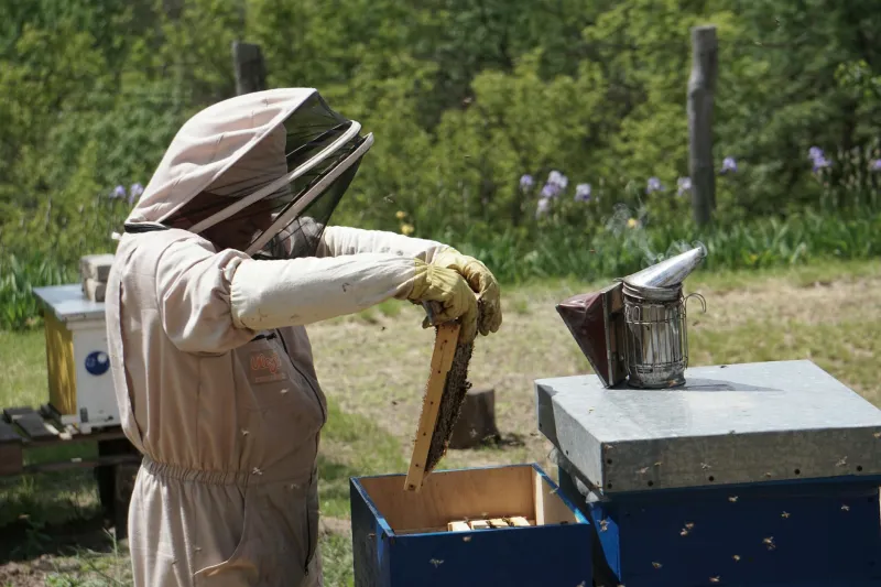 The Beekeeper Who Stumbled Into a Billion-Dollar Business He Never Meant to Start