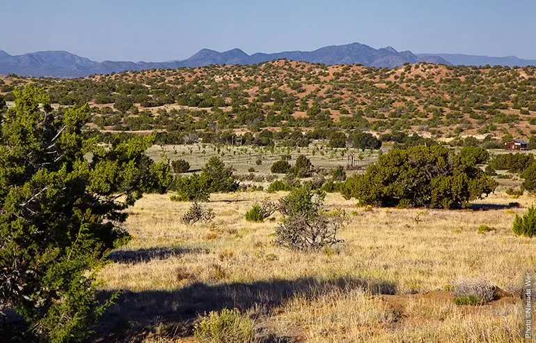 Galisteo Basin