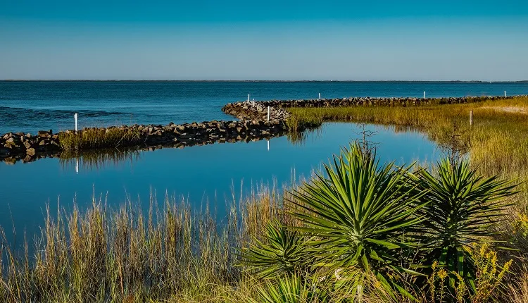 Harker's Island
