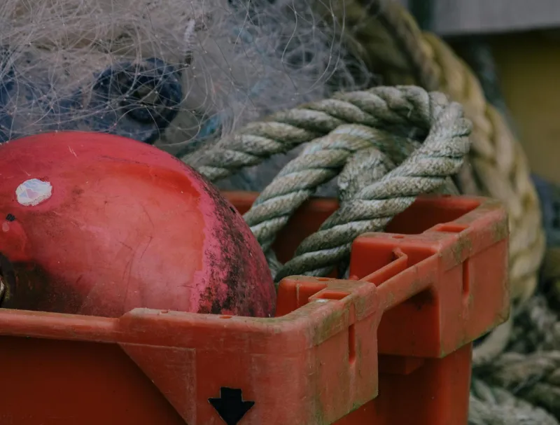 Charting the Unknown: How a Maine Lobsterman's Logbooks Rewrote Ocean Science